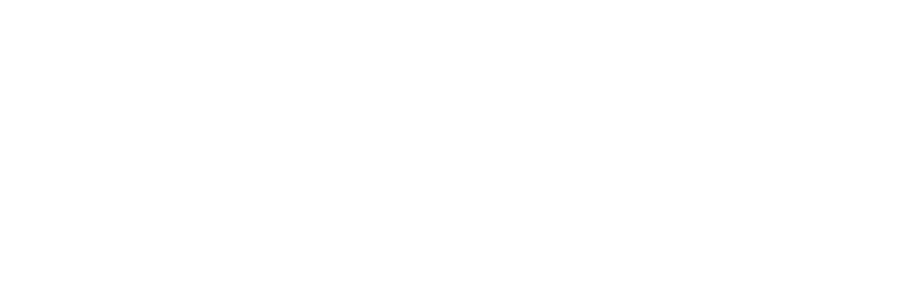 ScalePoint